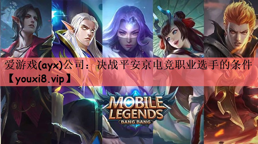 爱游戏(ayx)公司：决战平安京电竞职业选手的条件