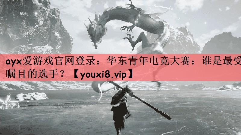 ayx爱游戏官网登录：华东青年电竞大赛：谁是最受瞩目的选手？